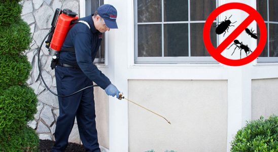 Kadınhanı Hamam Böceği İlaçlama böcek ilaçlama ve haşere kontrolü — ilaclama-tr.com